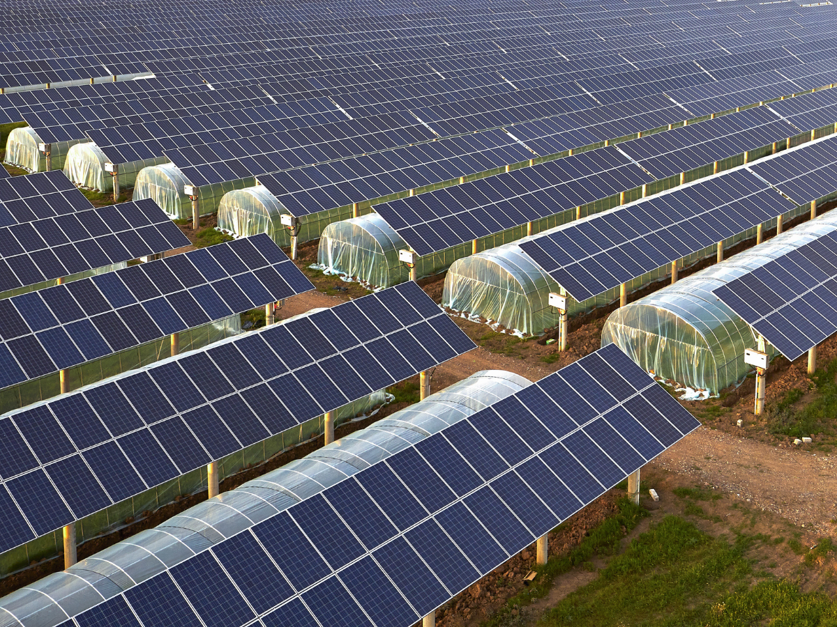 Ihre PV-Anlage in Berlin – Sonnenenergie sinnvoll nutzen