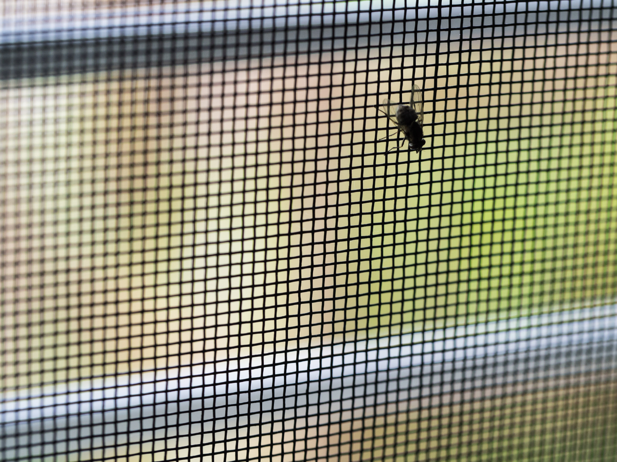 Vorteile eines maßgeschneiderten Insektenschutzes